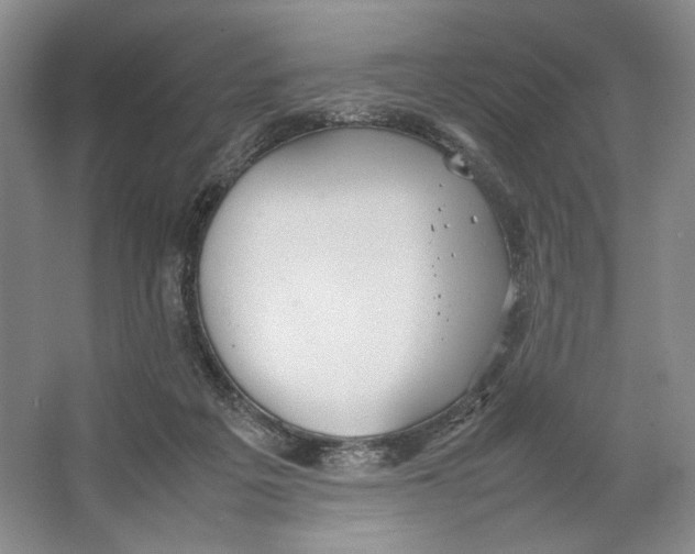 X0000064040217200602171653