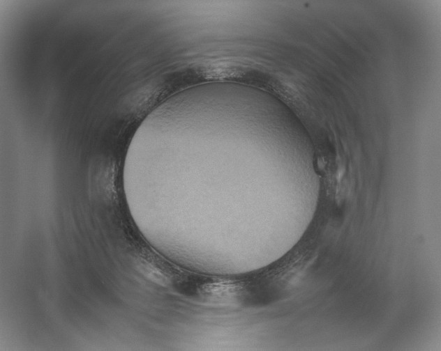 X0000064040219200602171653