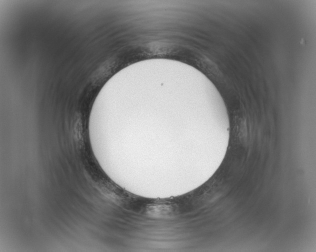 X0000064040220200602171653