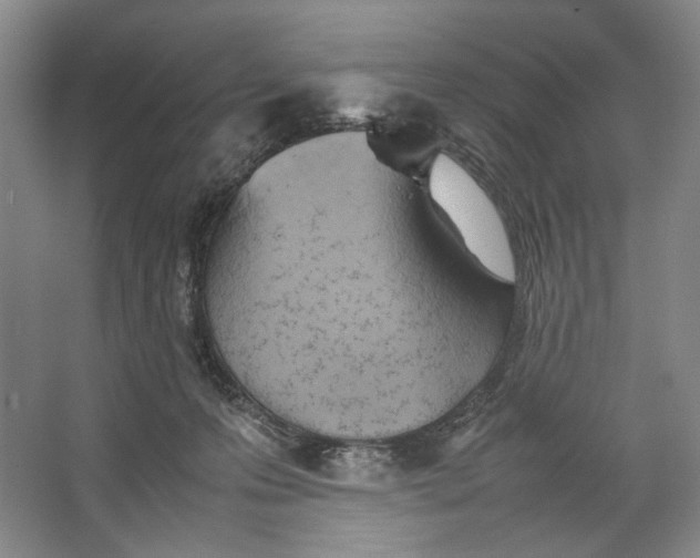 X0000064040223200602171653