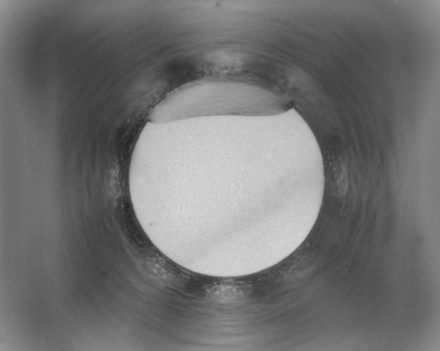 X0000064040224200602171652