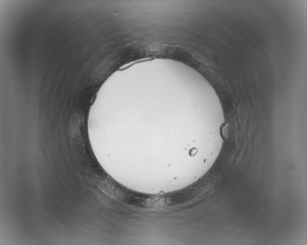 X0000064040225200602171652