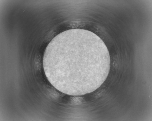 X0000064040226200602171652