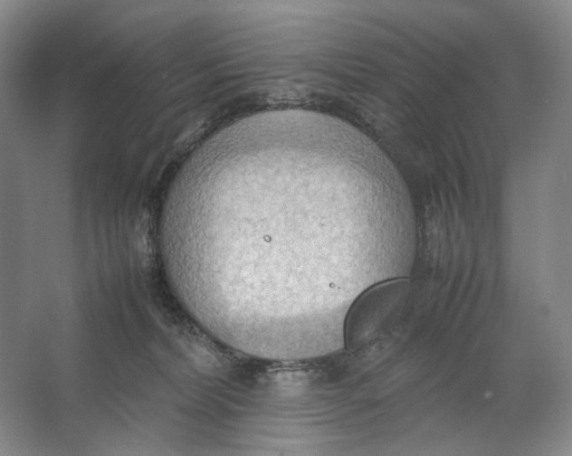 X0000064040228200602171652