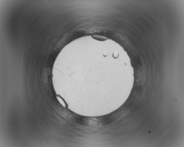 X0000064040229200602171652