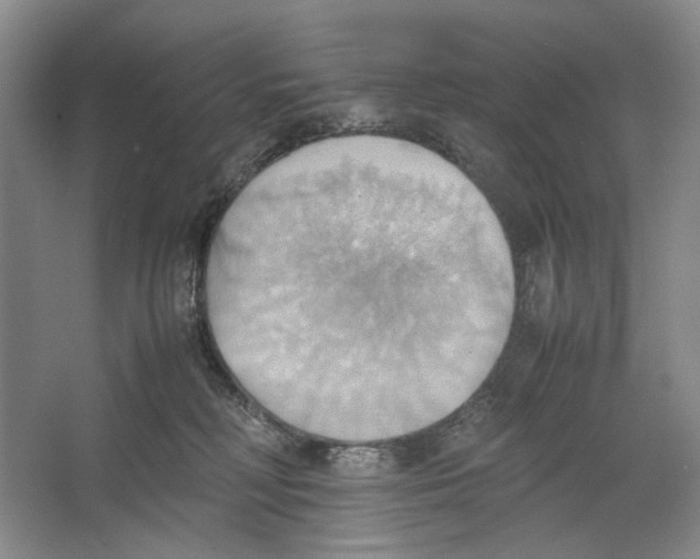 X0000064040230200602171652