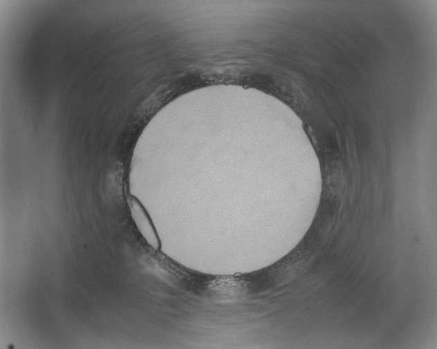 X0000064040231200602171652