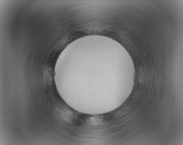 X0000064040232200602171652