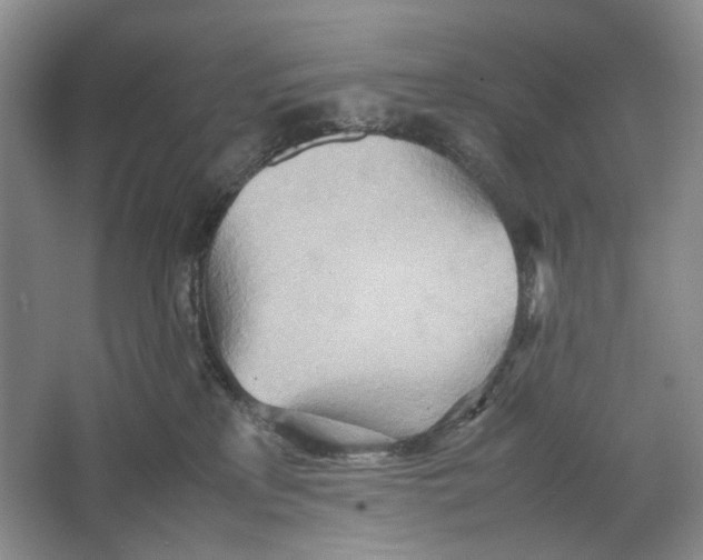 X0000064040233200602171652