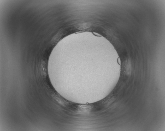 X0000064040234200602171652