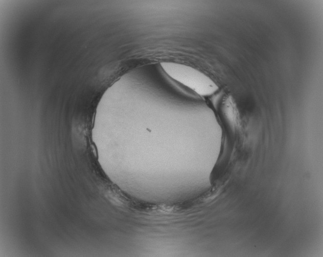 X0000064040235200602171652