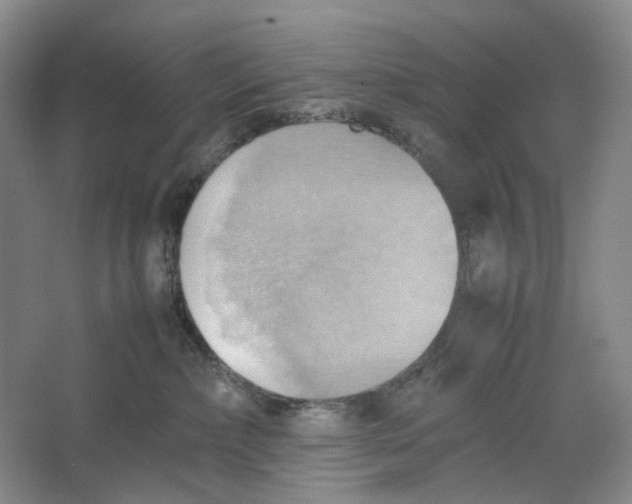 X0000064040236200602171652