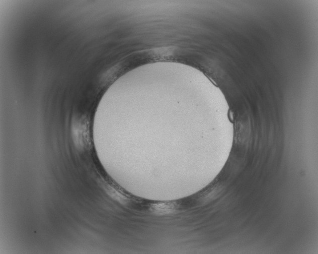 X0000064040238200602171652