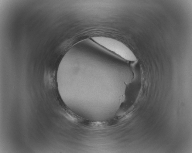 X0000064040239200602171652