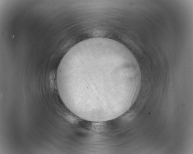 X0000064040240200602171652