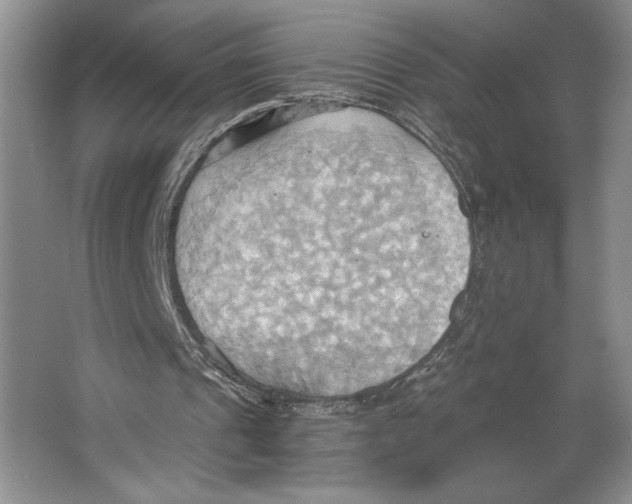 X0000064040241200602171651