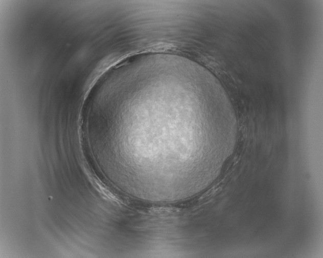 X0000064040242200602171651