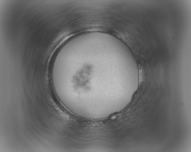 X0000064040243200602171651