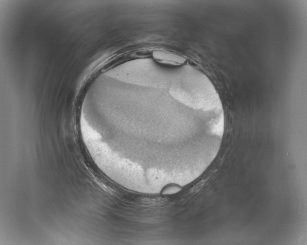 X0000064040245200602171651