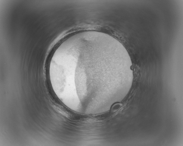 X0000064040246200602171651