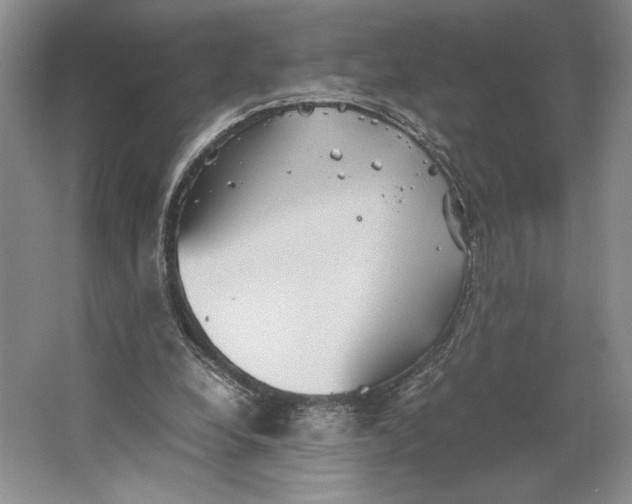 X0000064040248200602171652