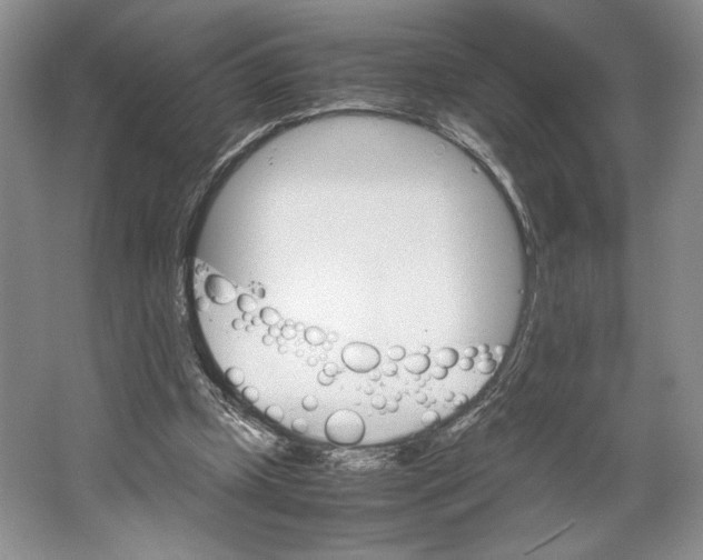 X0000064040249200602171652