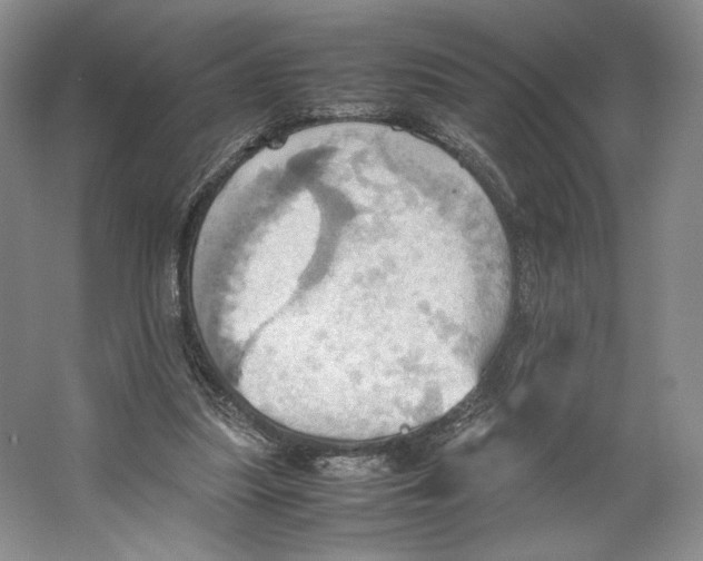 X0000064040251200602171652