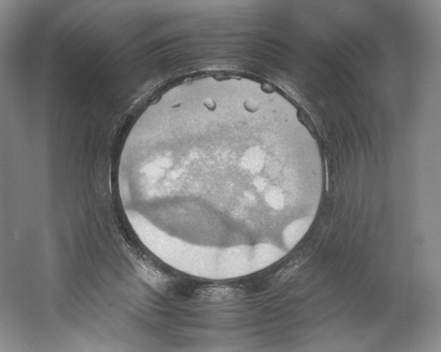 X0000064040253200602171652