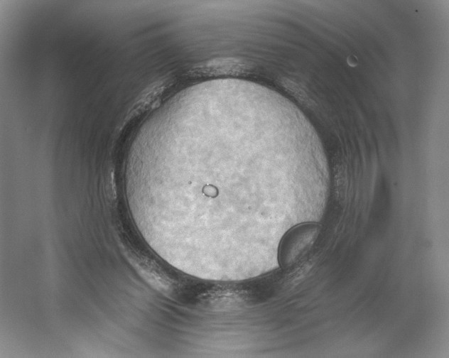 X0000064040254200602171652