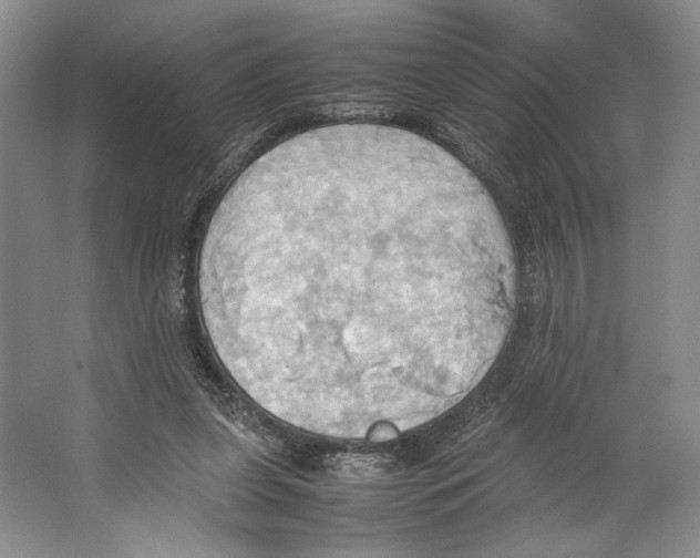 X0000064040255200602171652