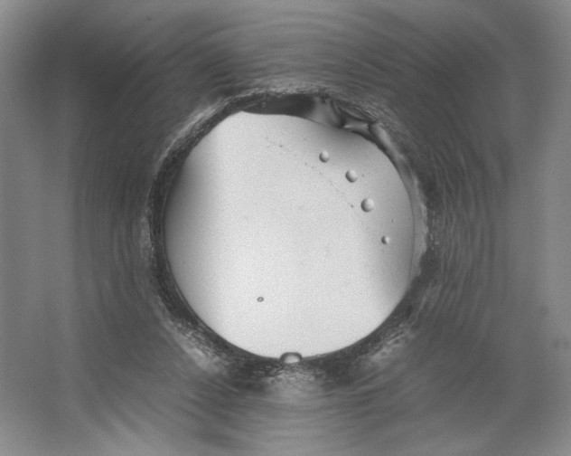 X0000064040256200602171652