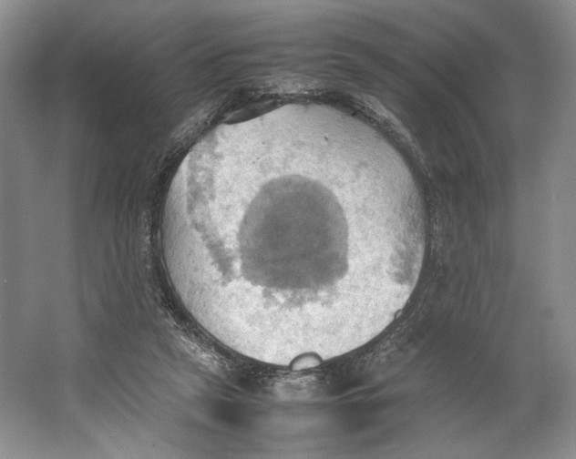 X0000064040257200602171652