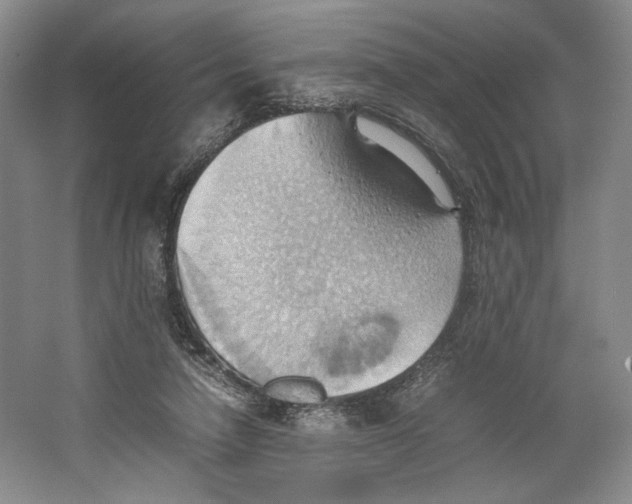 X0000064040258200602171652