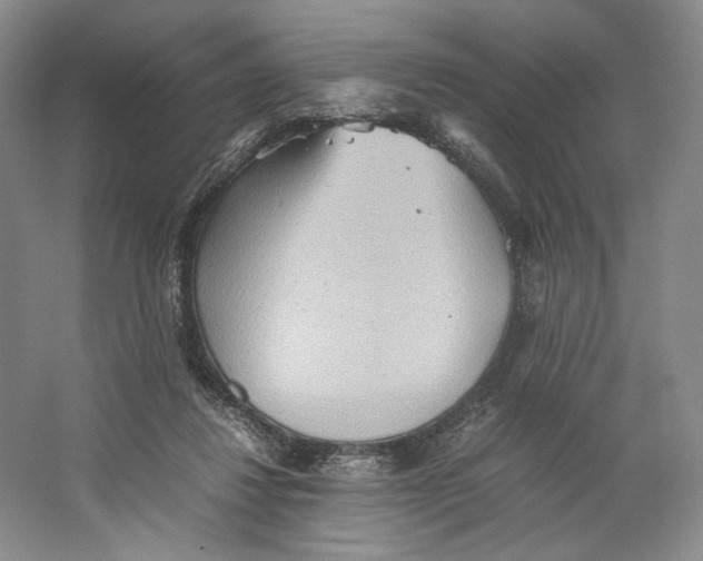 X0000064040260200602171652