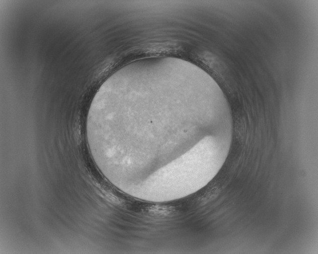 X0000064040261200602171652