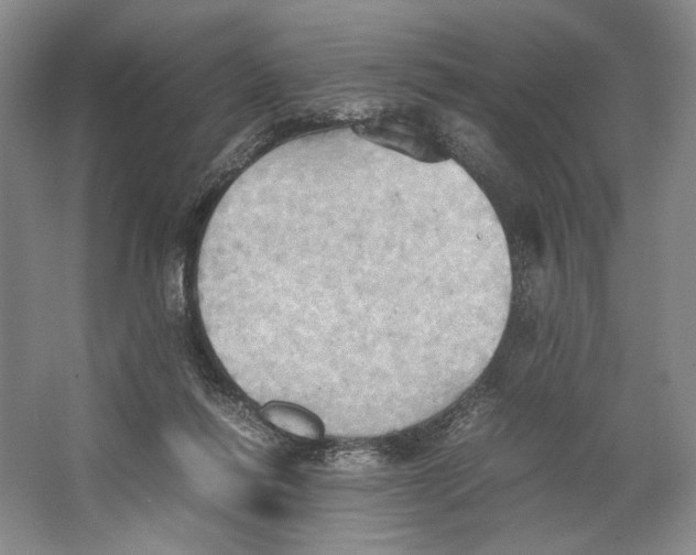 X0000064040262200602171652