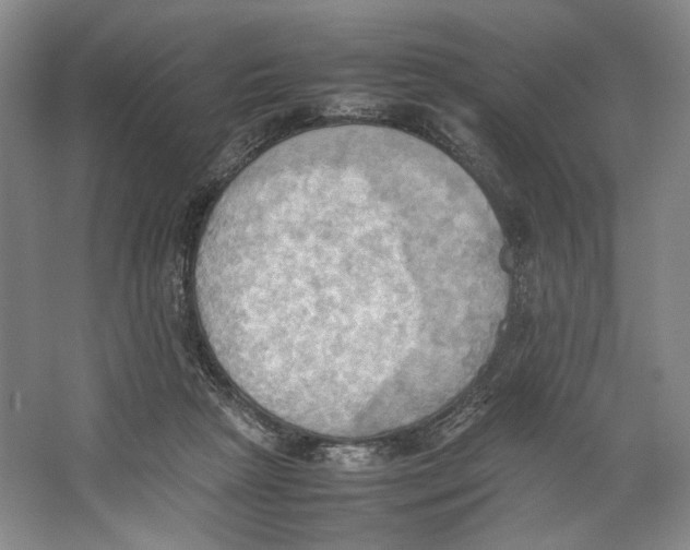 X0000064040265200602171652