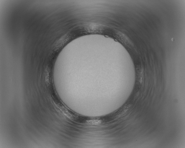 X0000064040266200602171652