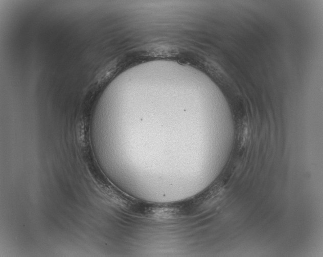 X0000064040268200602171652