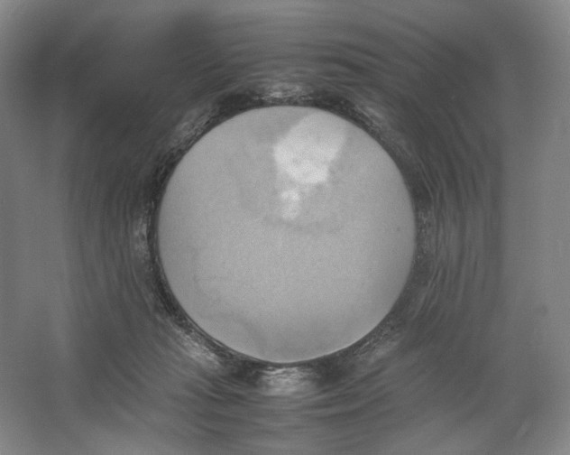 X0000064040269200602171652