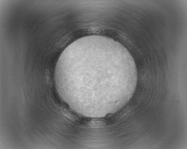 X0000064040270200602171652