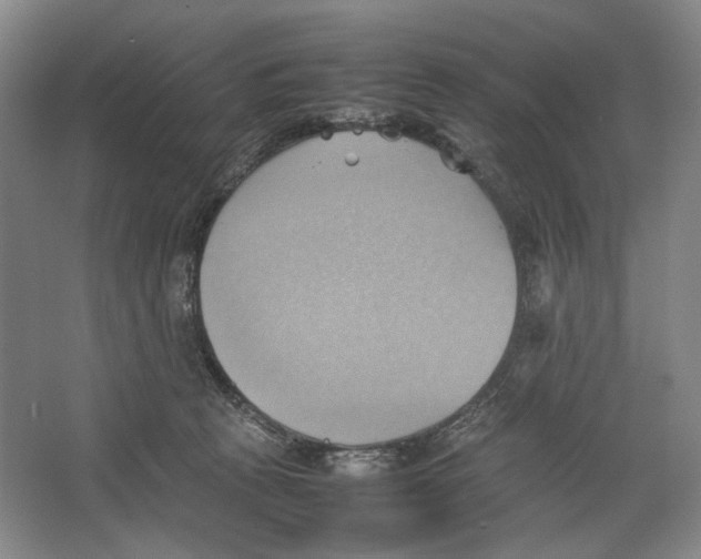 X0000064040273200602171652