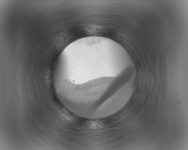 X0000064040275200602171652