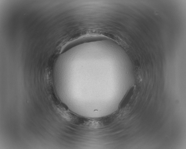 X0000064040276200602171652