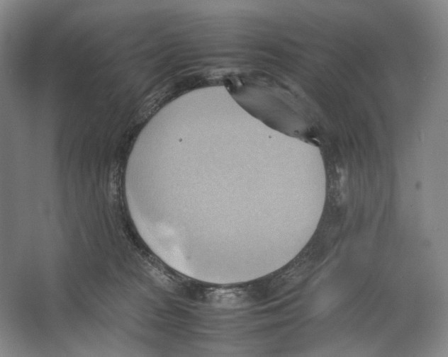 X0000064040277200602171652