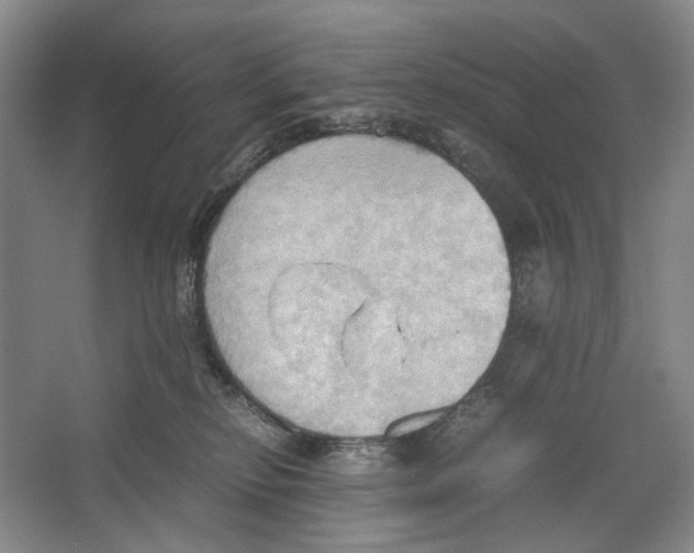 X0000064040278200602171652