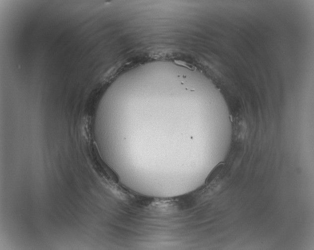 X0000064040280200602171652