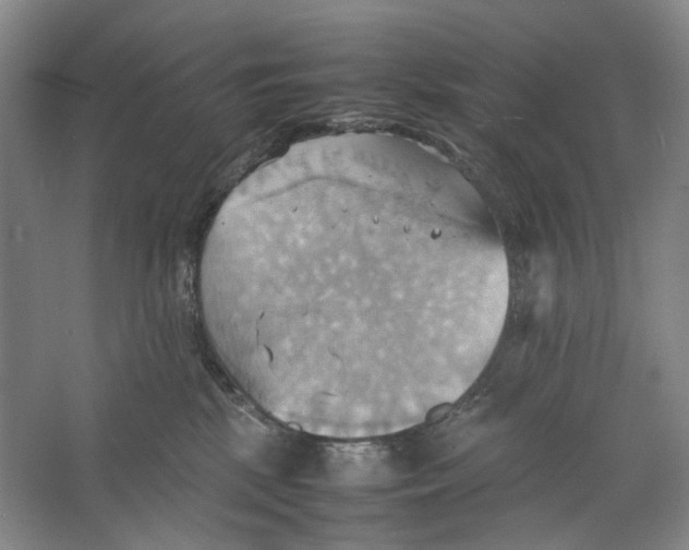 X0000064040281200602171652