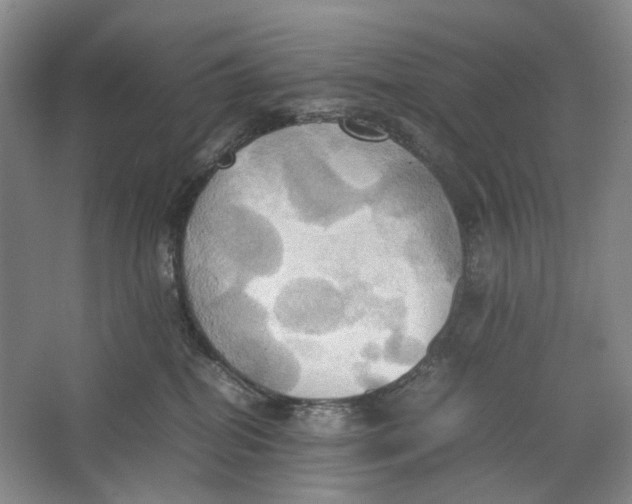 X0000064040282200602171652