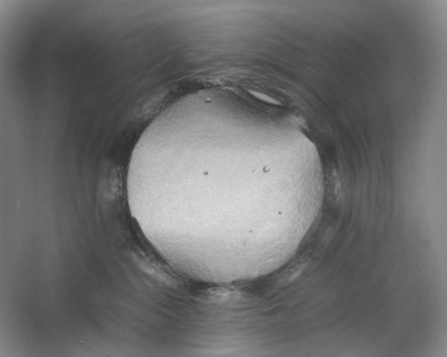 X0000064040284200602171652